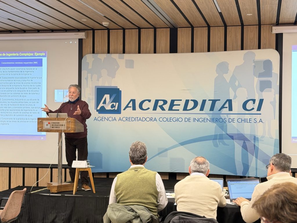 El mismo participante explica los conocimientos mínimos requeridos (WK) asociados a los problemas de ingeniería complejos.